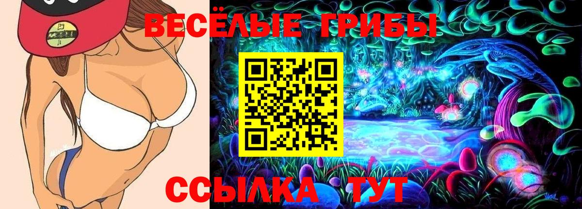 Псилоцибиновые грибы Cubensis  Вход с VPN  дарнет шоп  Ростов-на-Дону  Галлюциногенные грибы Psilocybe 